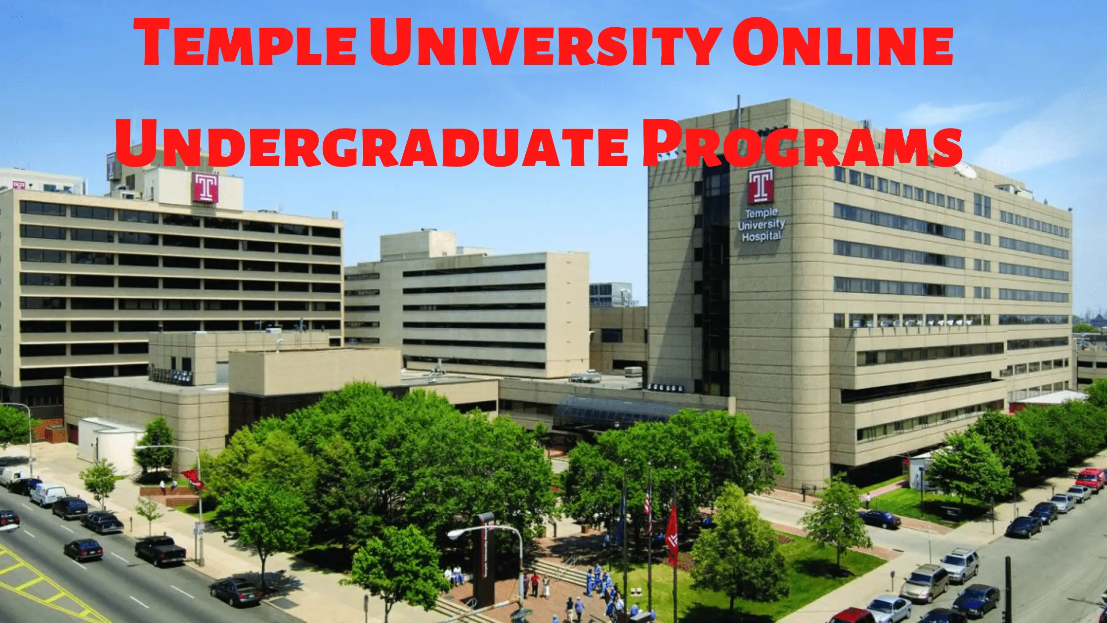 temple university online undergraduate programs